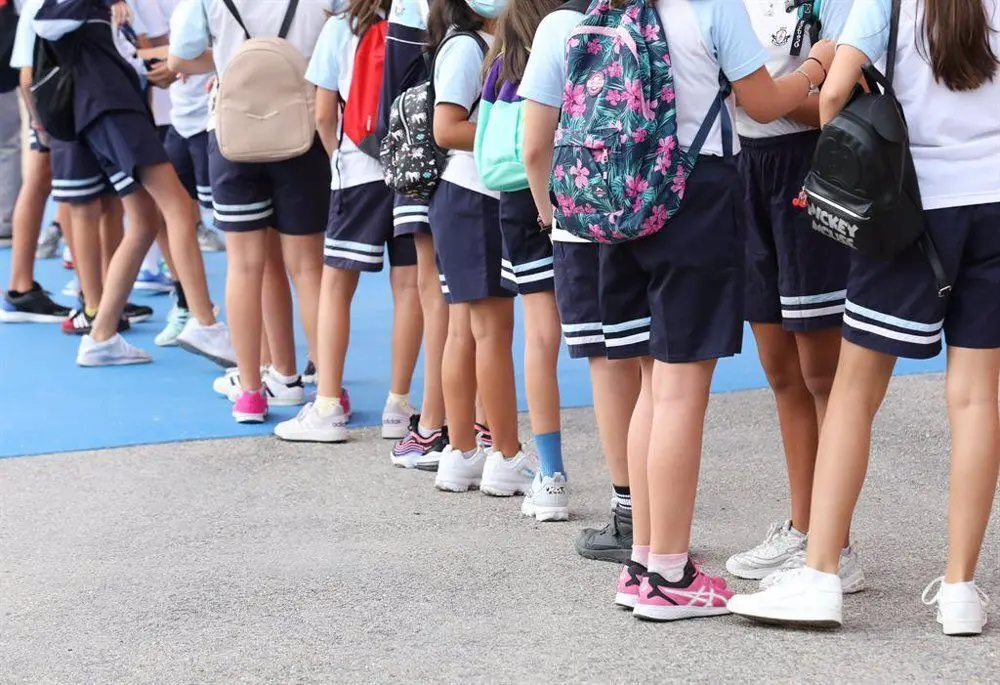 Unos ni&ntilde;os y ni&ntilde;as en un colegio.