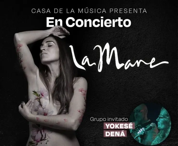 Cartel del concierto de La Mare en Fuenlabrada por el 25N.