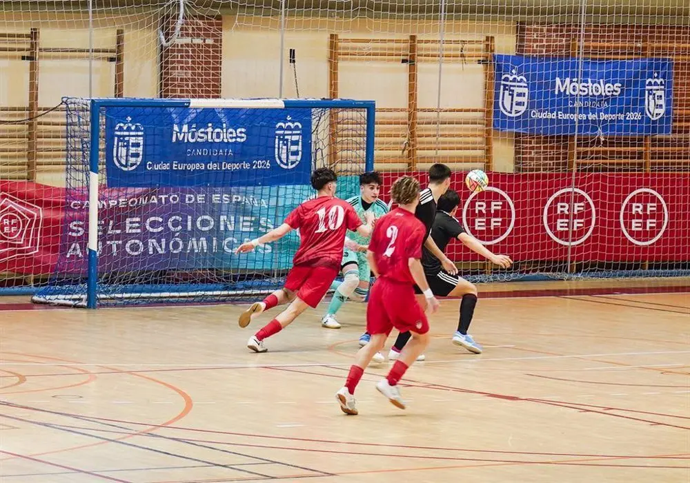 F&uacute;tbol sala
