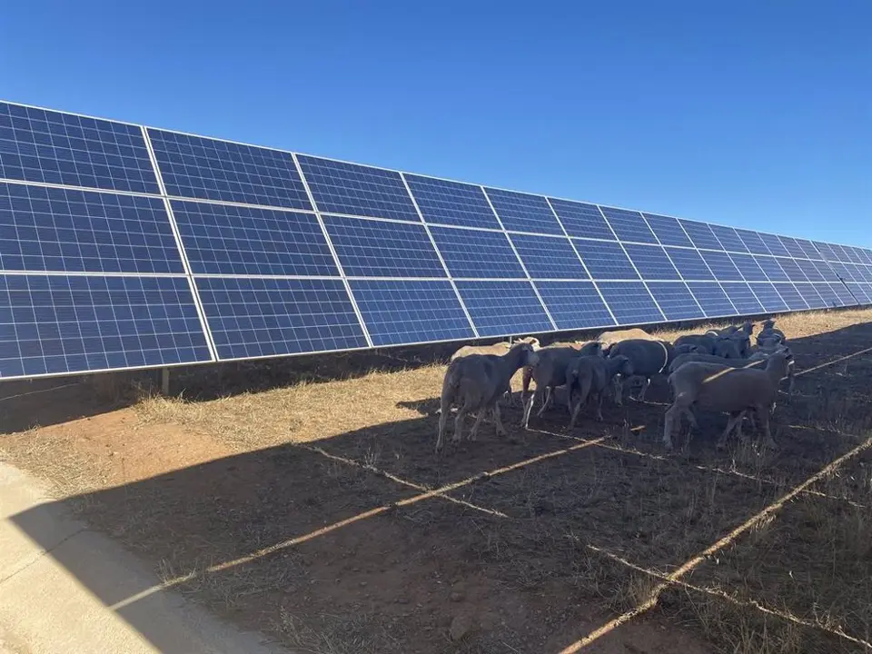 Placas fotovoltaicas