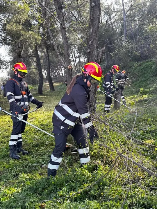 Alumnos del Instituto de Formaci&oacute;n Profesional Claudio Galeno restaurando una parcela municipal