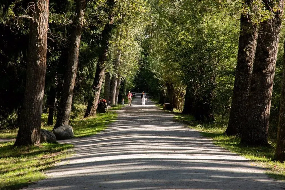 Carretera en medio del campo