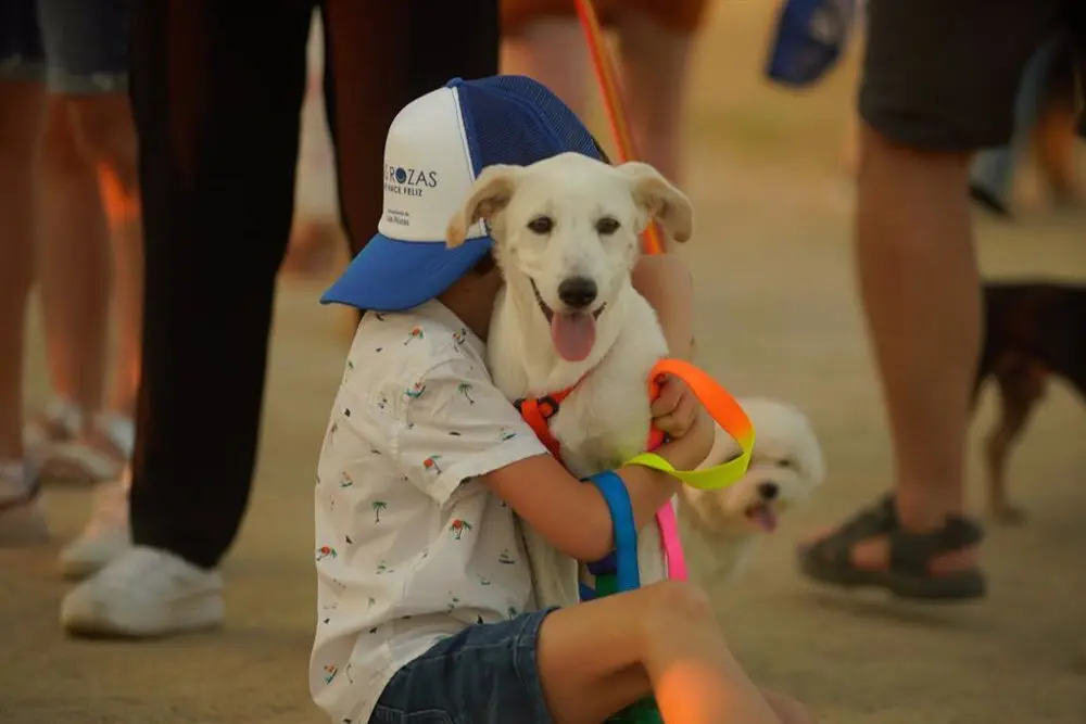 Las Rozas D&iacute;a del Perro sin raza