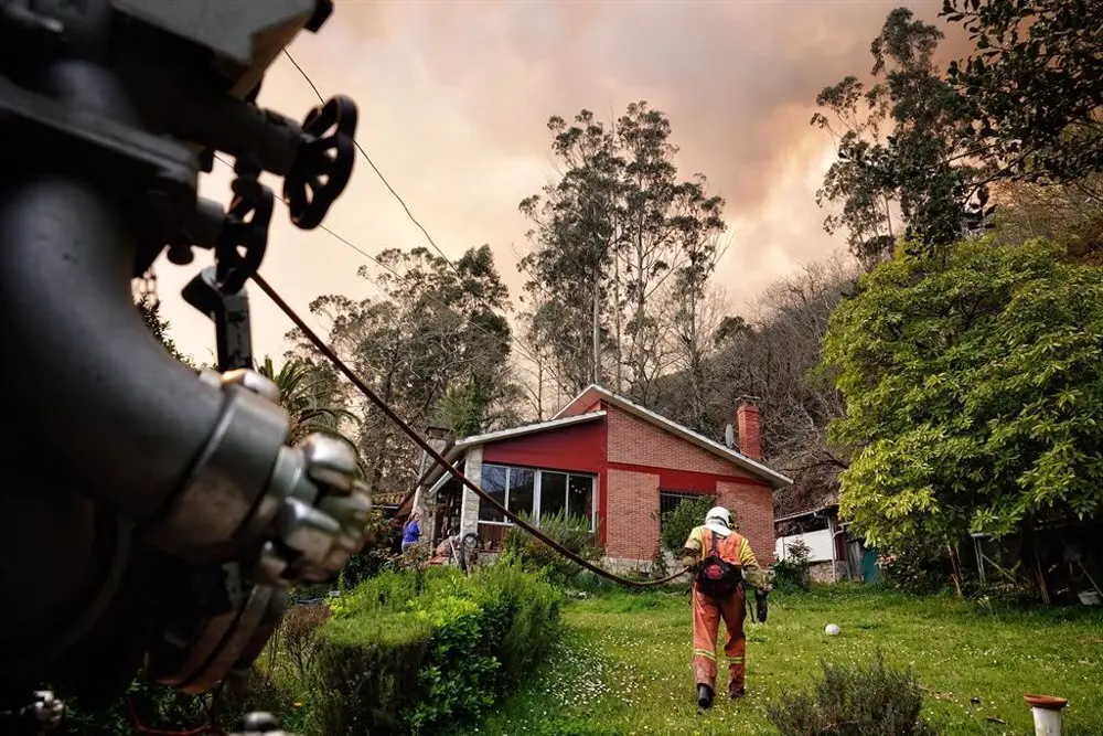 Casa en el bosque