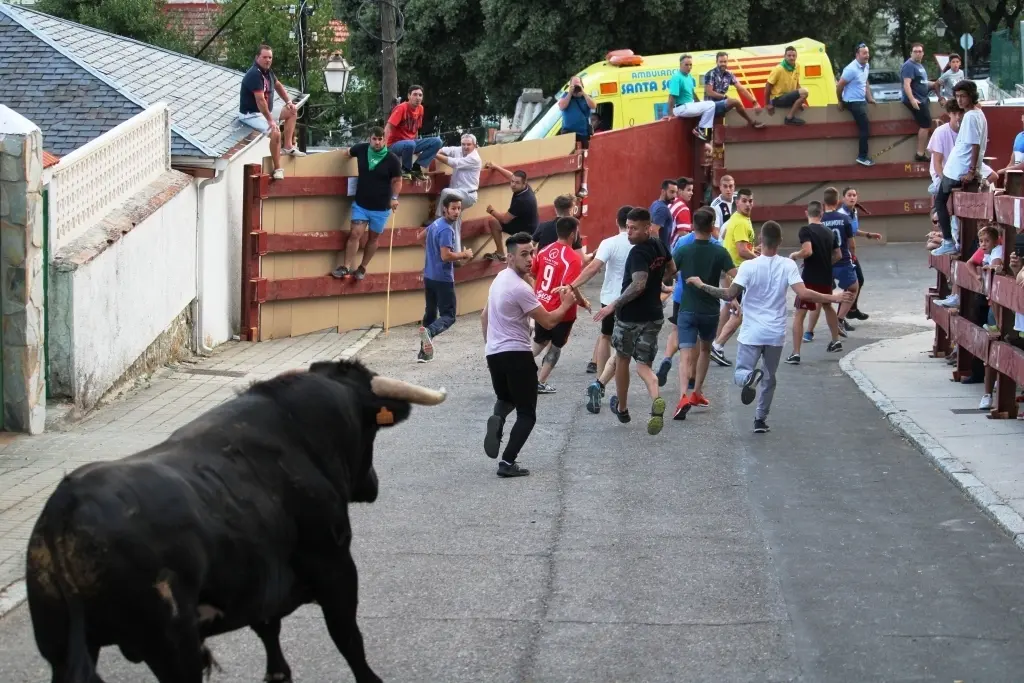Encierro de toros