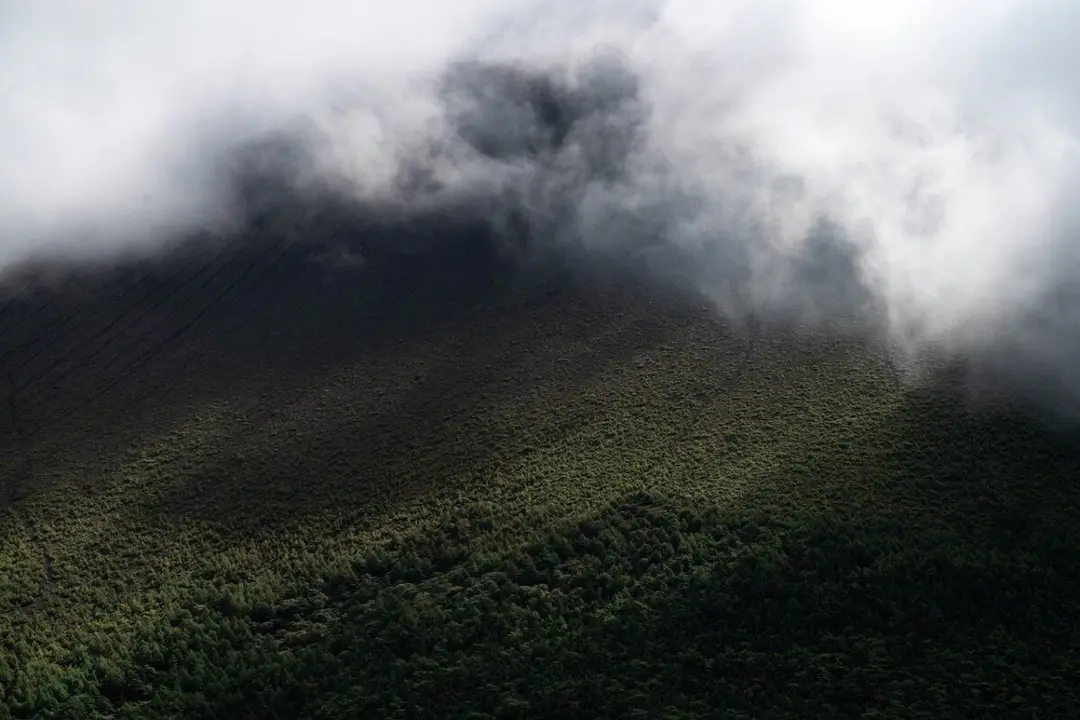 Monta&ntilde;a con niebla