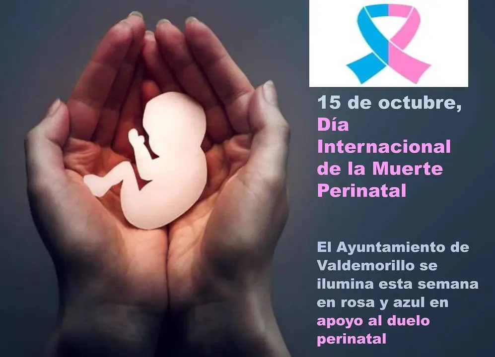 Imagen del panfleto de informaci&oacute;n sobre el evento de encendido de luces en el Ayuntamiento de Valdemorillo
