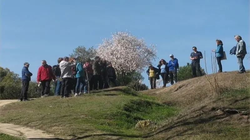 Varias personas en la Dehesa de la Villa