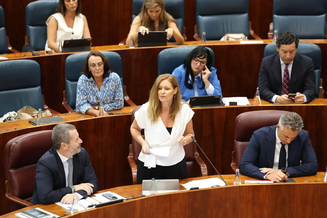 Imagen de archivo. La consejera de Familia, Juventud y Asuntos Sociales, Ana D&aacute;vila, interviene durante un pleno en la Asamblea de Madrid, a 19 de septiembre de 2024, en Madrid (Espa&ntilde;a).