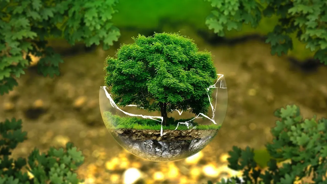 &Aacute;rbol en una esfera de cristal como s&iacute;mbolo del medio ambiente