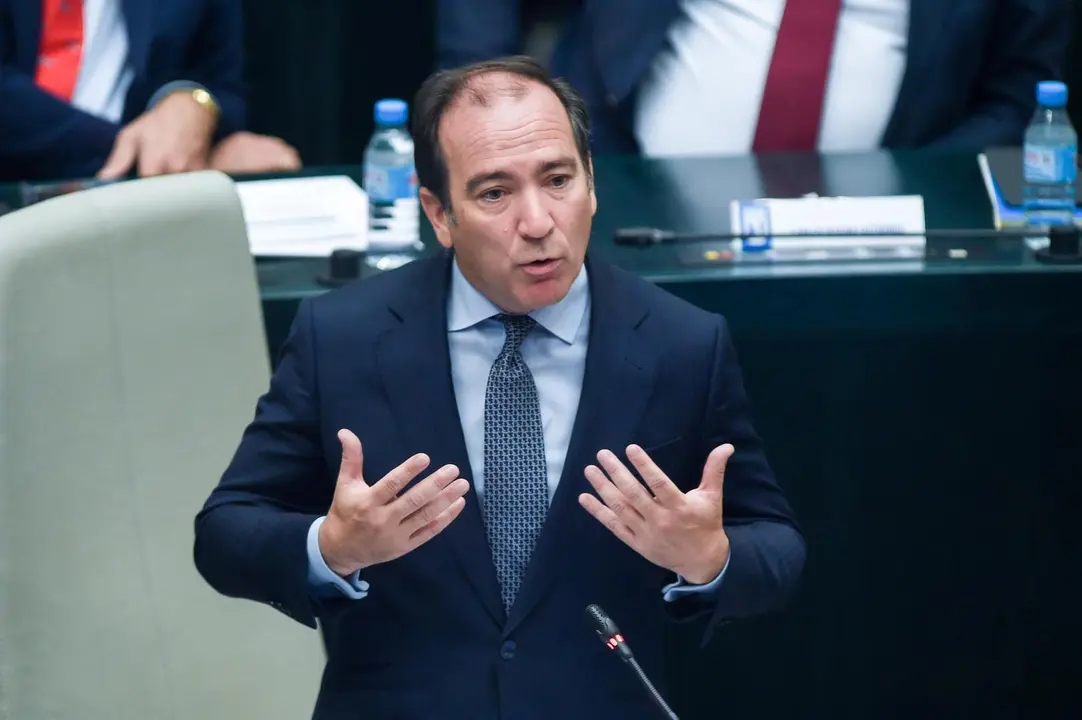 El segundo teniente de Alcalde de Madrid, Borja Carabante.