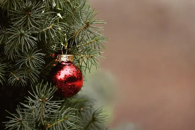 Imagen de navidad en archivo.