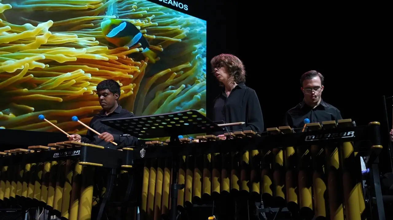 La Agrupaci&oacute;n M&uacute;sica Inclusiva del Teatro Real est&aacute; conformada por ni&ntilde;os y j&oacute;venes que se re&uacute;nen dos veces por semana a lo largo de todo el curso en el Real Teatro de Retiro.