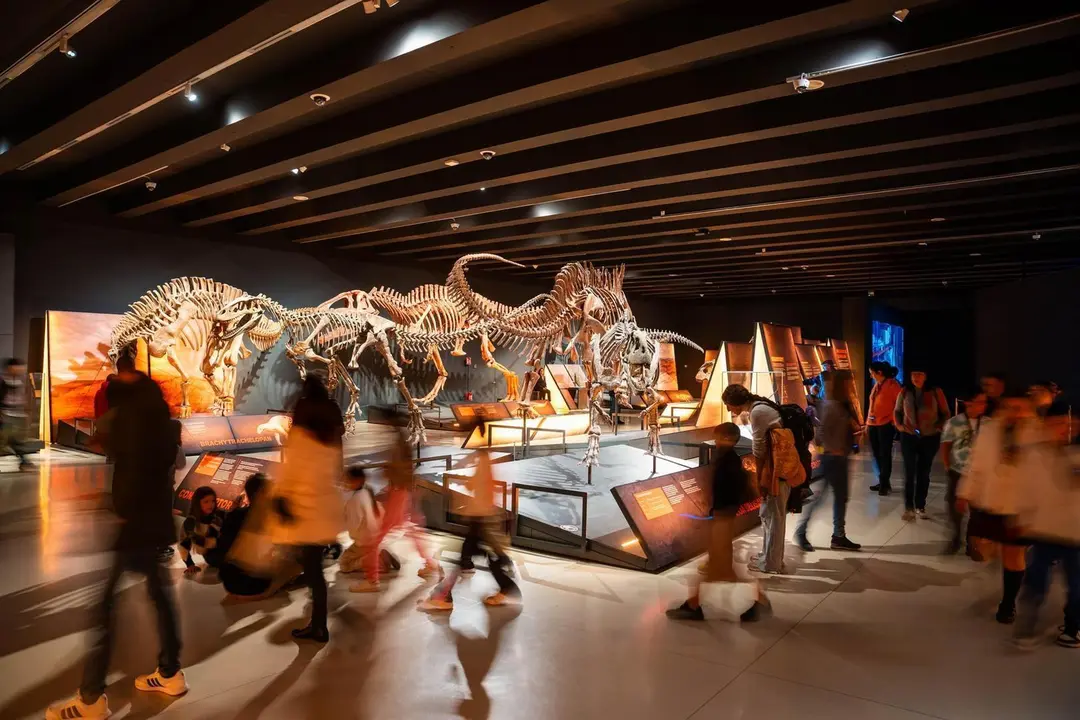 Exposici&oacute;n 'Dinosaurios de la Patagonia'.
