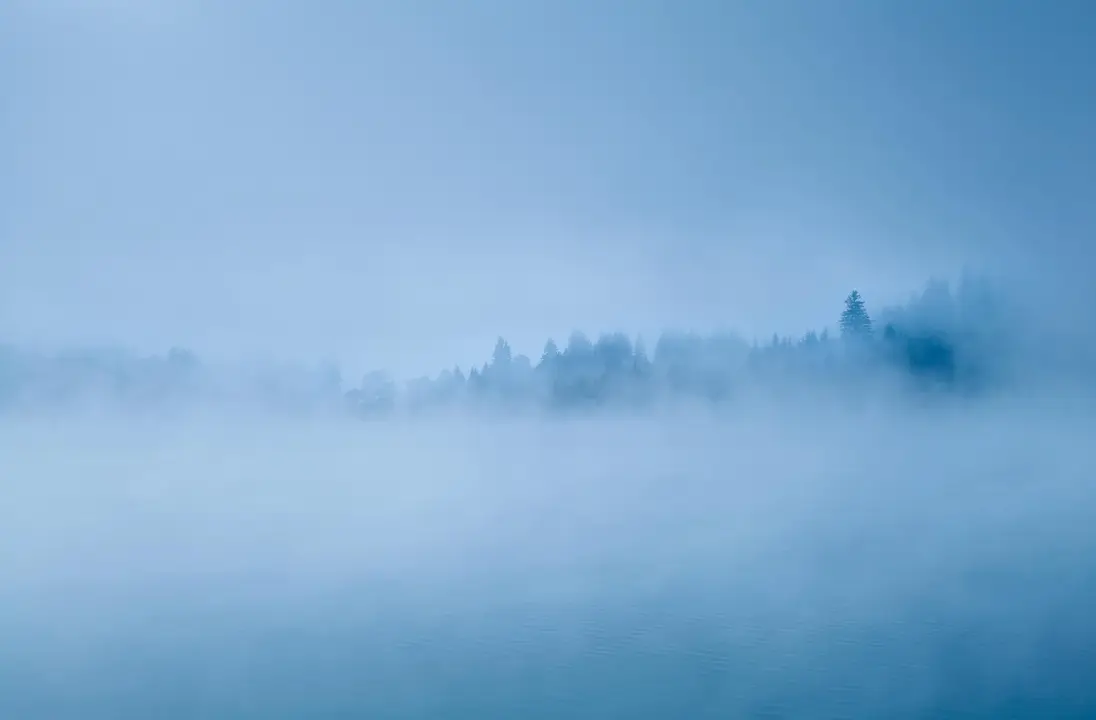 Niebla por la ma&ntilde;ana en un bosque. Imagen de archivo.