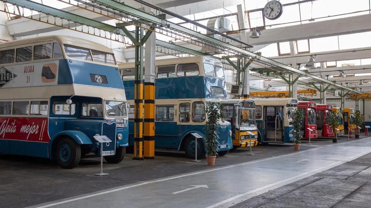 Autobuses de exposici&oacute;n.