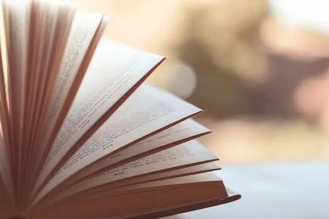 Un libro en una imagen de archivo.