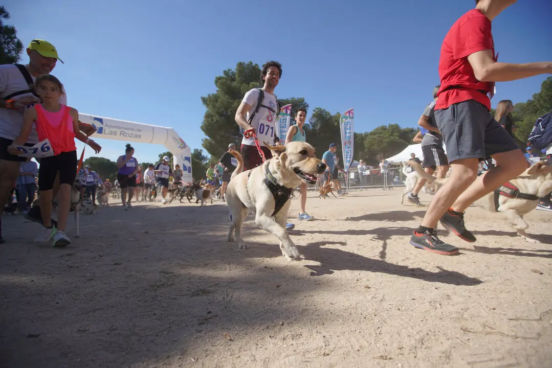 CaniCross Las Rozas, la carrera no competitiva para los vecinos y sus perros.