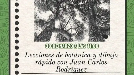 Imagen cedida por el Ayuntamiento de Madrid. Evento cuaderno de campo arb&oacute;reo