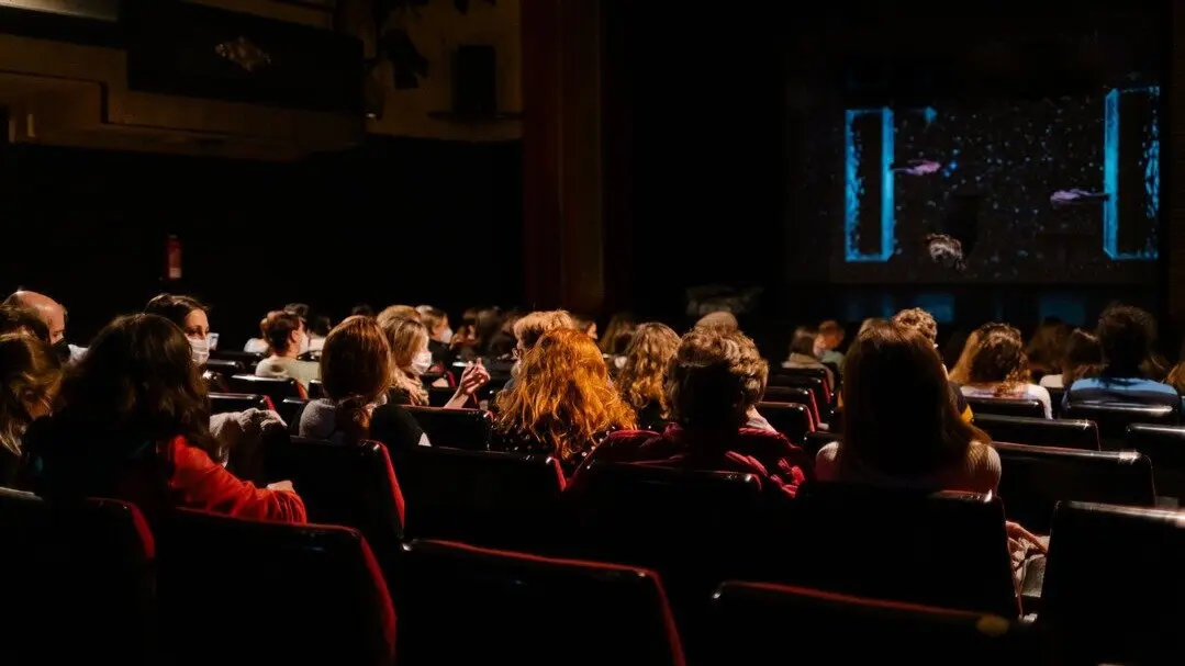 Grupo de personas viendo una funci&oacute;n teatral. Imagen de archivo.