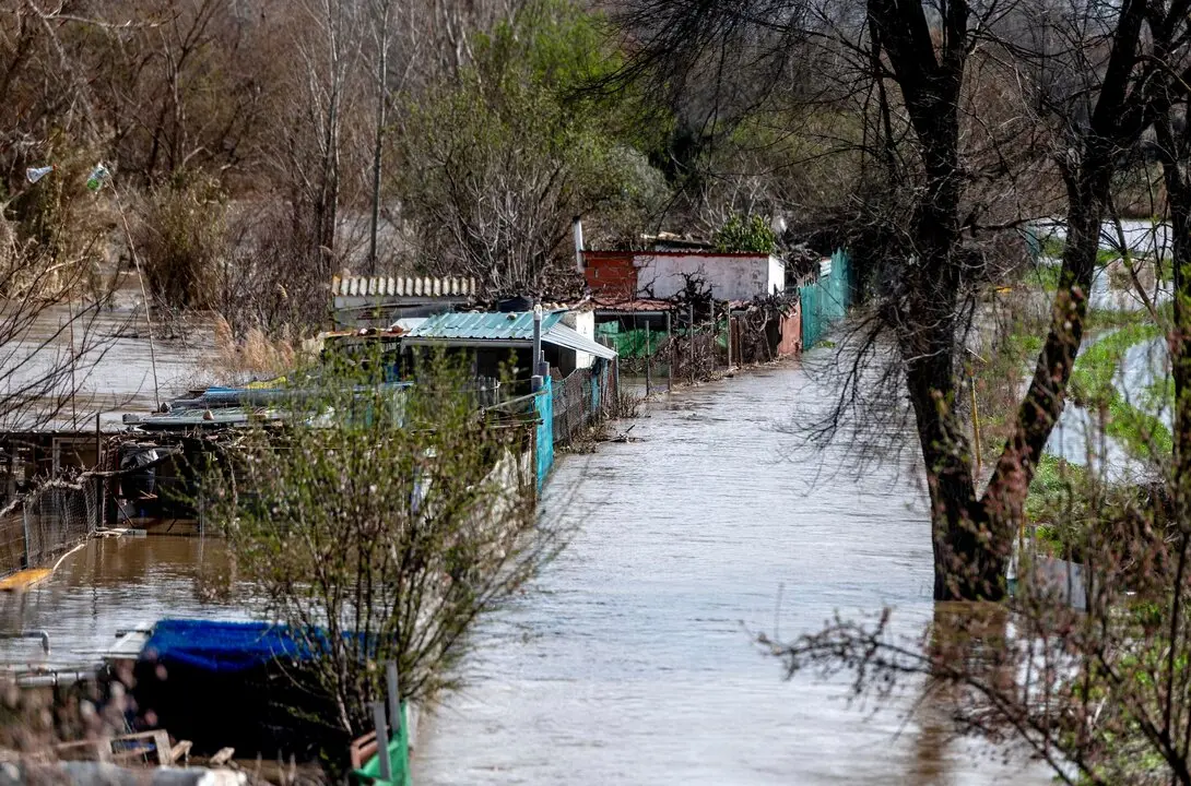 Zona de cultivos afectada por el desbordamiento del R&iacute;o Jarama.