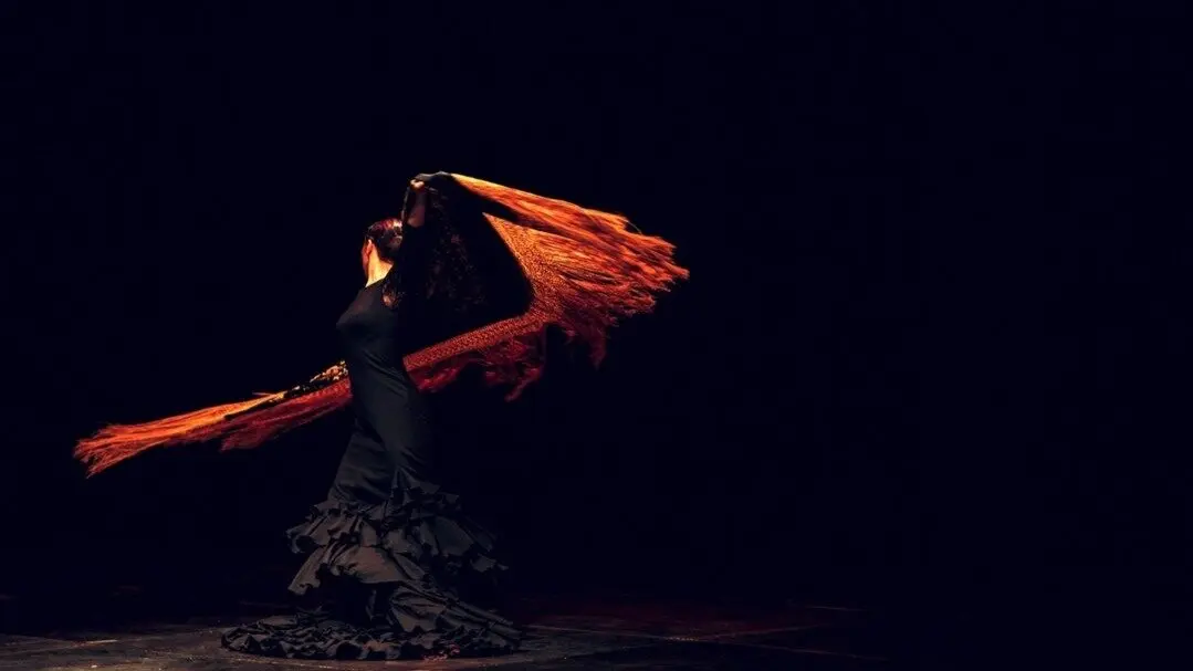 Bailaora flamenca. Imagen de archivo.