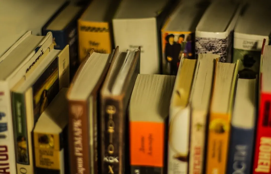 Libros en una estanter&iacute;a. Imagen de archivo.