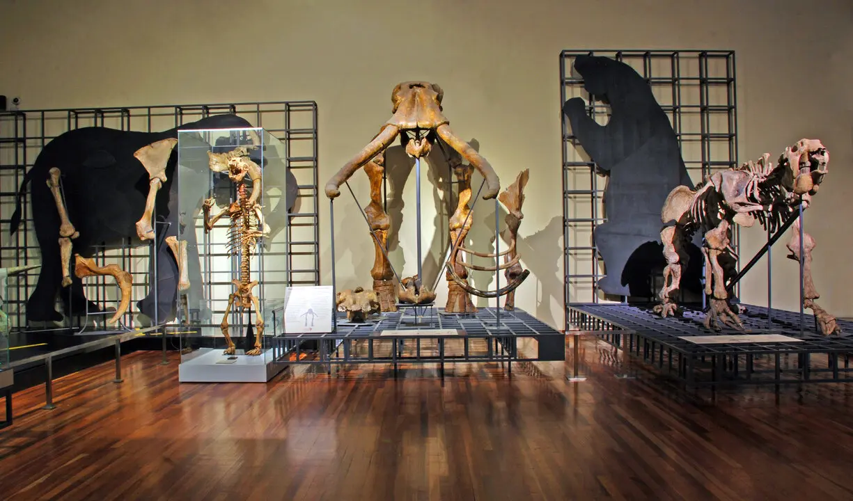 Galer&iacute;a de dinosaurios en el Museo Nacional de Ciencias Naturales.