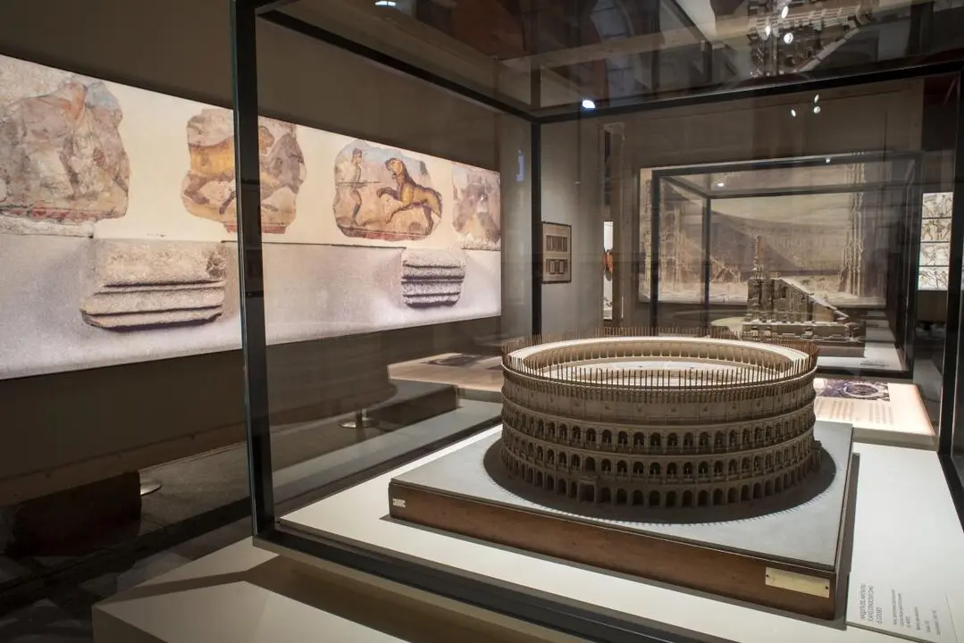 Exposici&oacute;n '&iexcl;Hispano! Gladiadores en el Imperio romano'. Imagen de la Comunidad de Madrid.