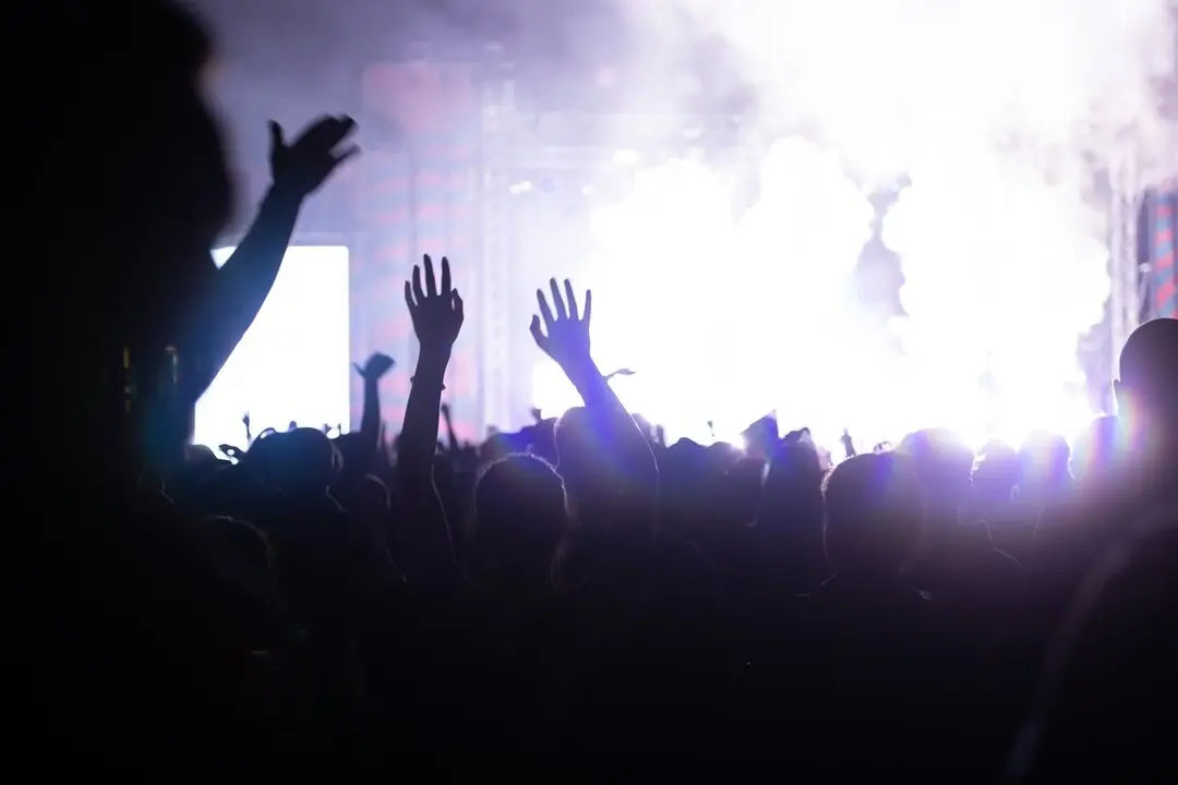Gente disfrutando de m&uacute;sica en un concierto. Imagen de archivo.