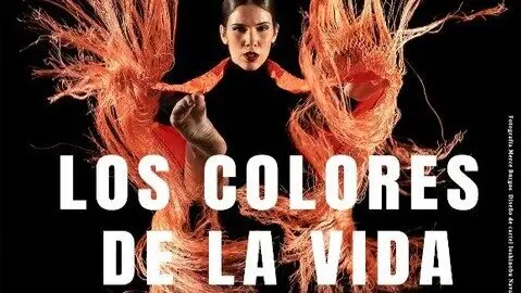 Cartel de 'Los Colores de la Vida'. Imagen del Ayuntamiento.