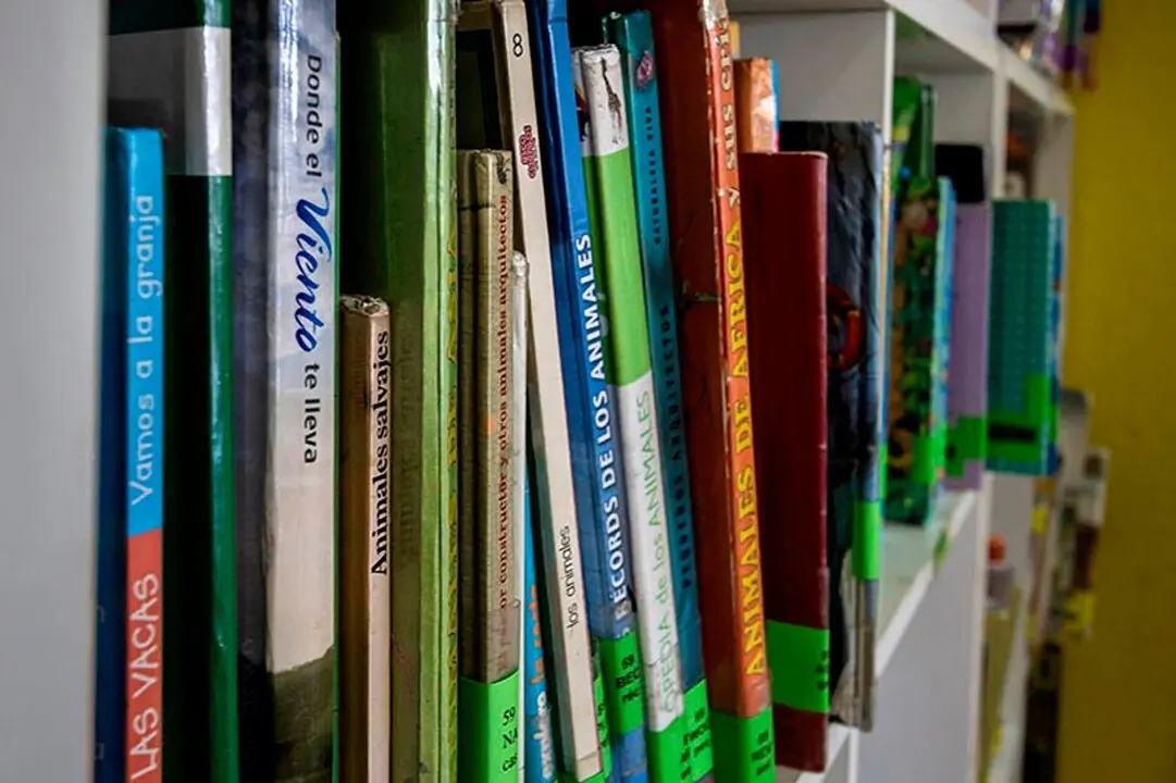 Libros en una biblioteca. Imagen de EP.
