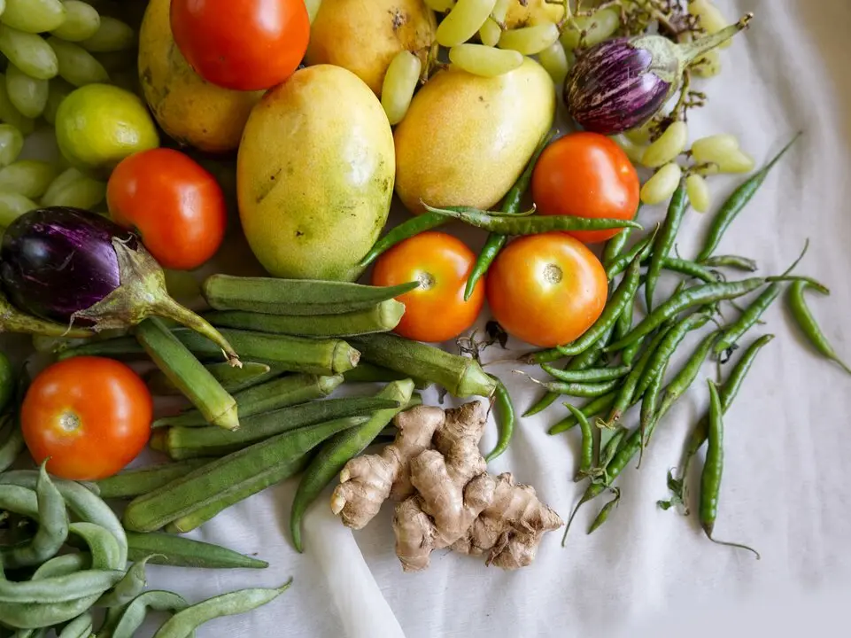 Verduras y hortalizas en imagen de archivos.