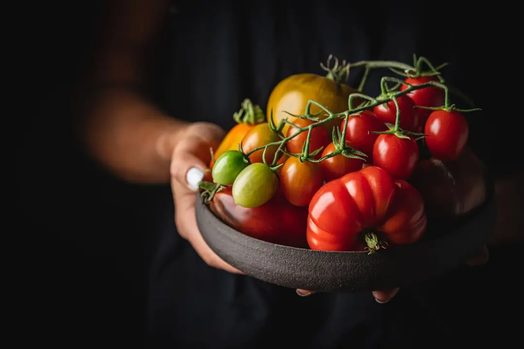 Mix de muchos tipos de tomates en imagen de archivo.