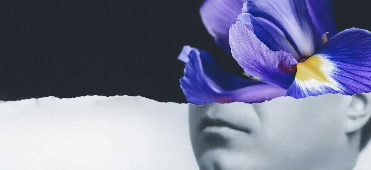 &Oacute;pera Iris. Imagen del Teatro Real.
