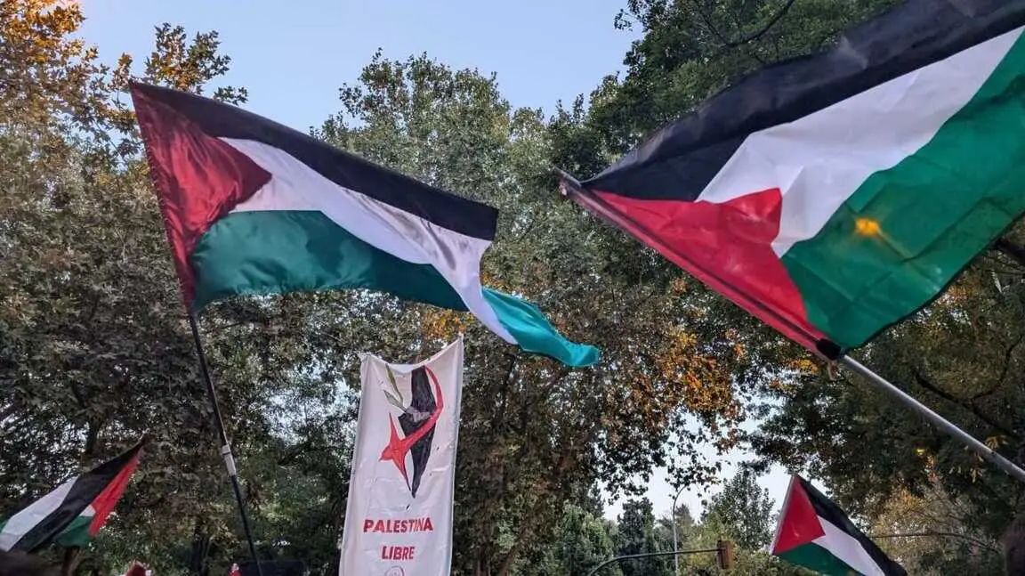 Banderas palestinas ondeando en la manifestaci&oacute;n del 15 de octubre de 2025.
