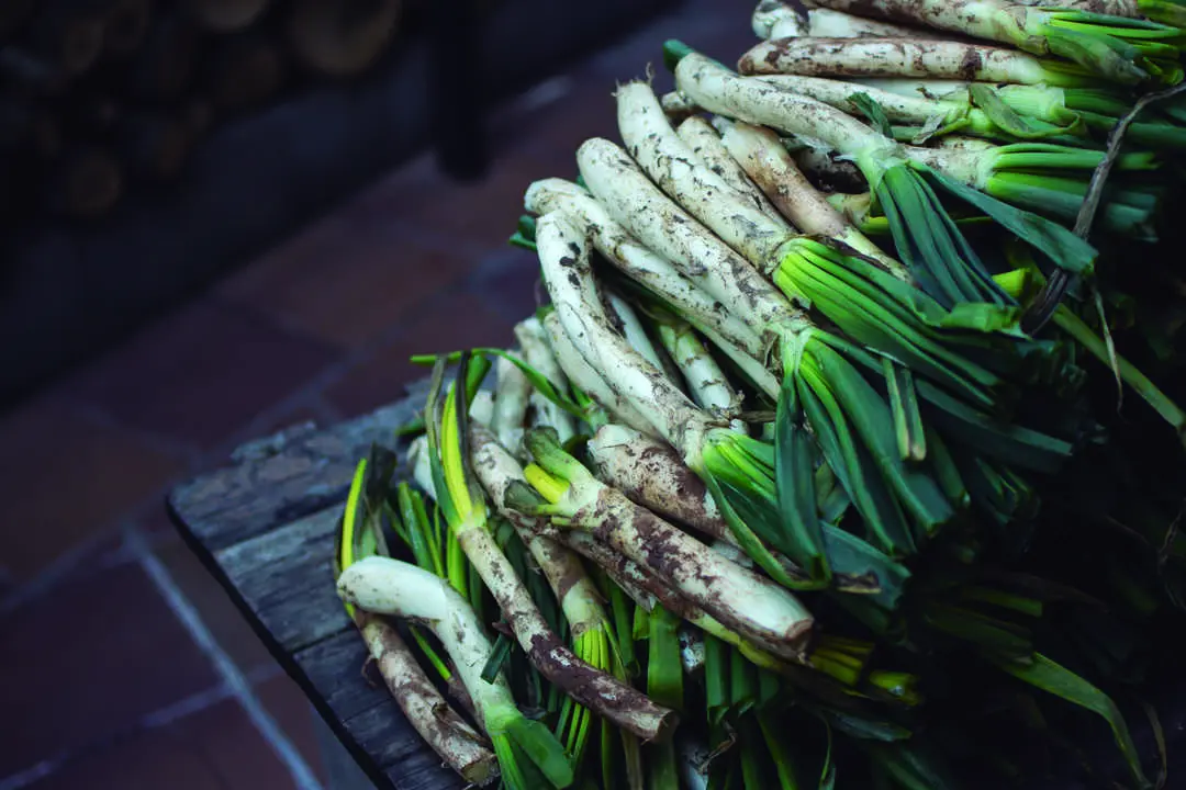 Cal&ccedil;ots en imagen de archivo.