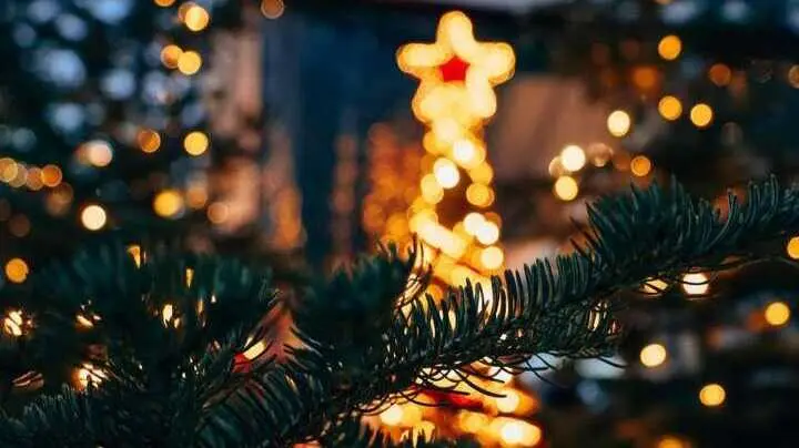 Iluminaci&oacute;n Navidad. Imagen del Ayuntamiento de Majadahonda.
