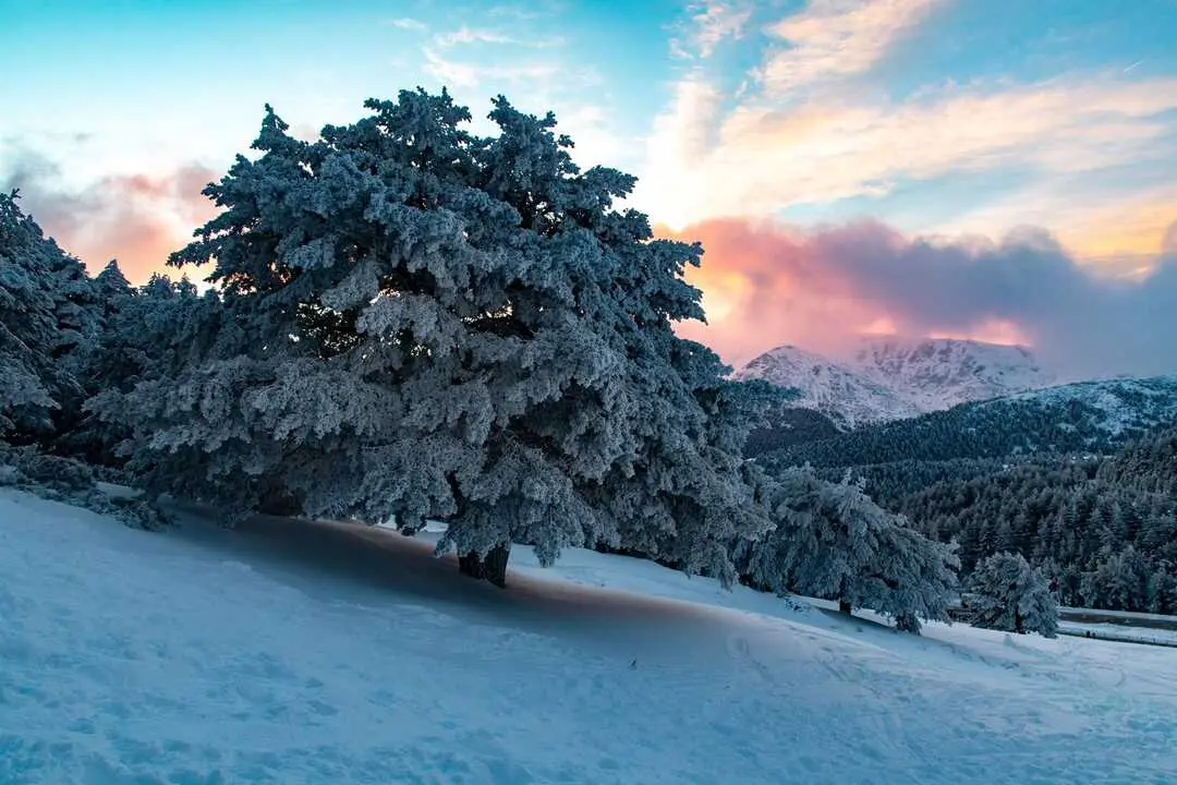 Paisaje nevado desde la zona del Refugio Pingarr&oacute;n en el Puerto de Cotos, a 7 de enero de 2024, en Madrid (Espa&ntilde;a). Imagen de Europa Press.