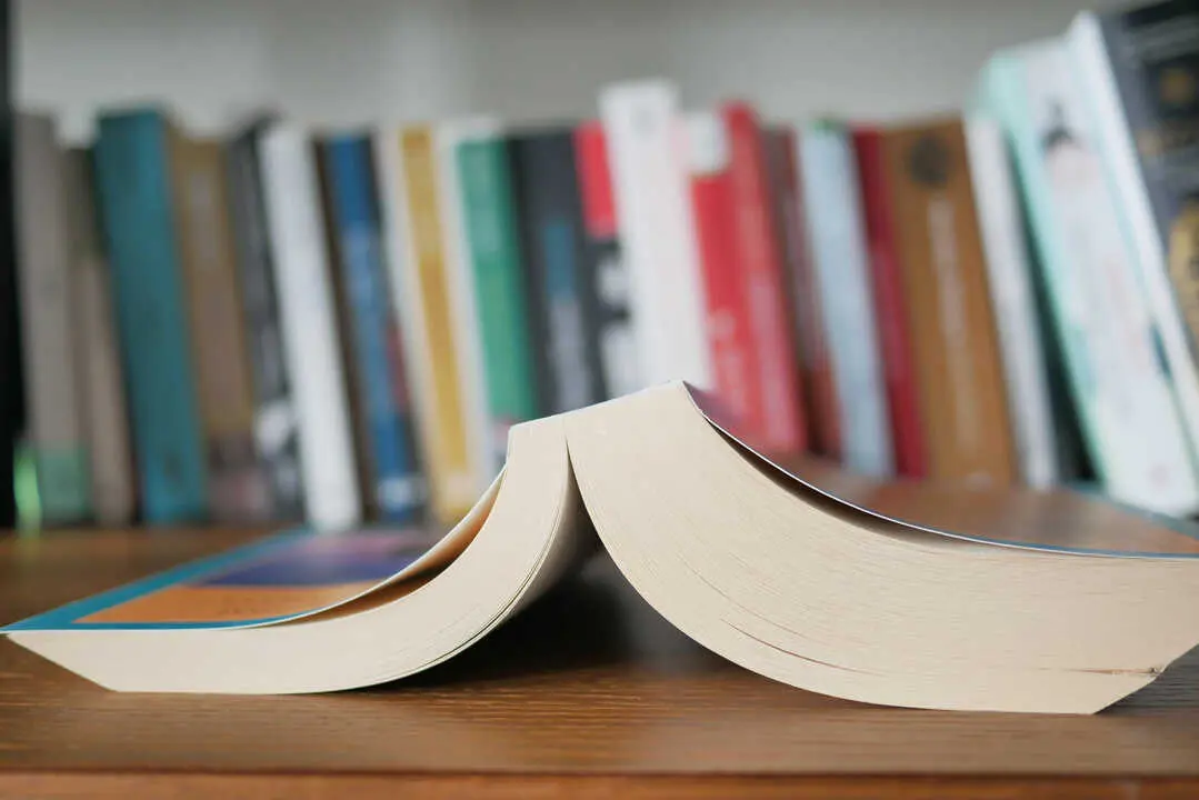 Libros. Imagen de archivo.