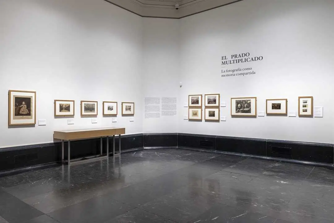 Imagen de la sala de la exposici&oacute;n 'El Prado multiplicado'.