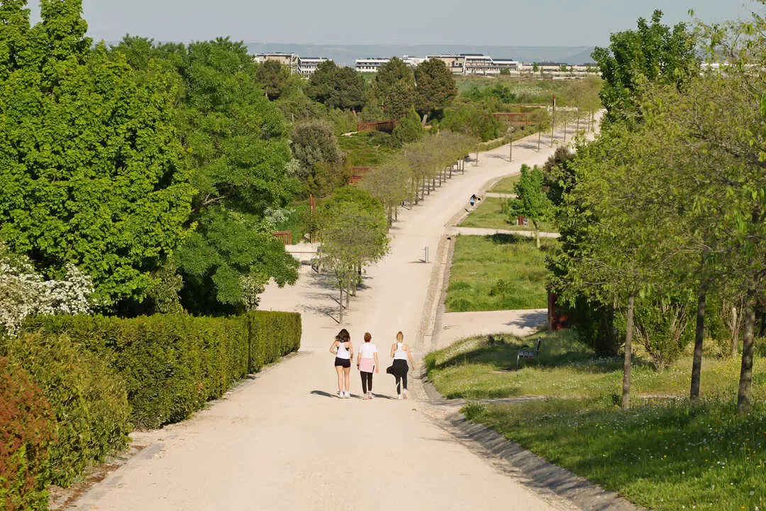 Parque de Valdebebas.