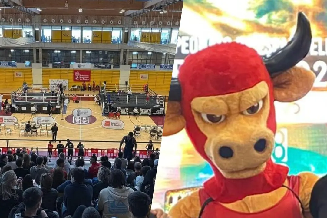 La anterior edici&oacute;n del torneo. Im&aacute;genes del Ayuntamiento de Arganda del Rey y de la Federaci&oacute;n madrile&ntilde;a de Boxeo.