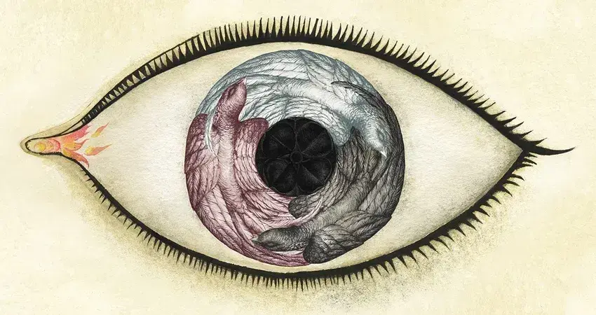 Wunderkammer, de Ana Juan. Imagen de CentroCentro.