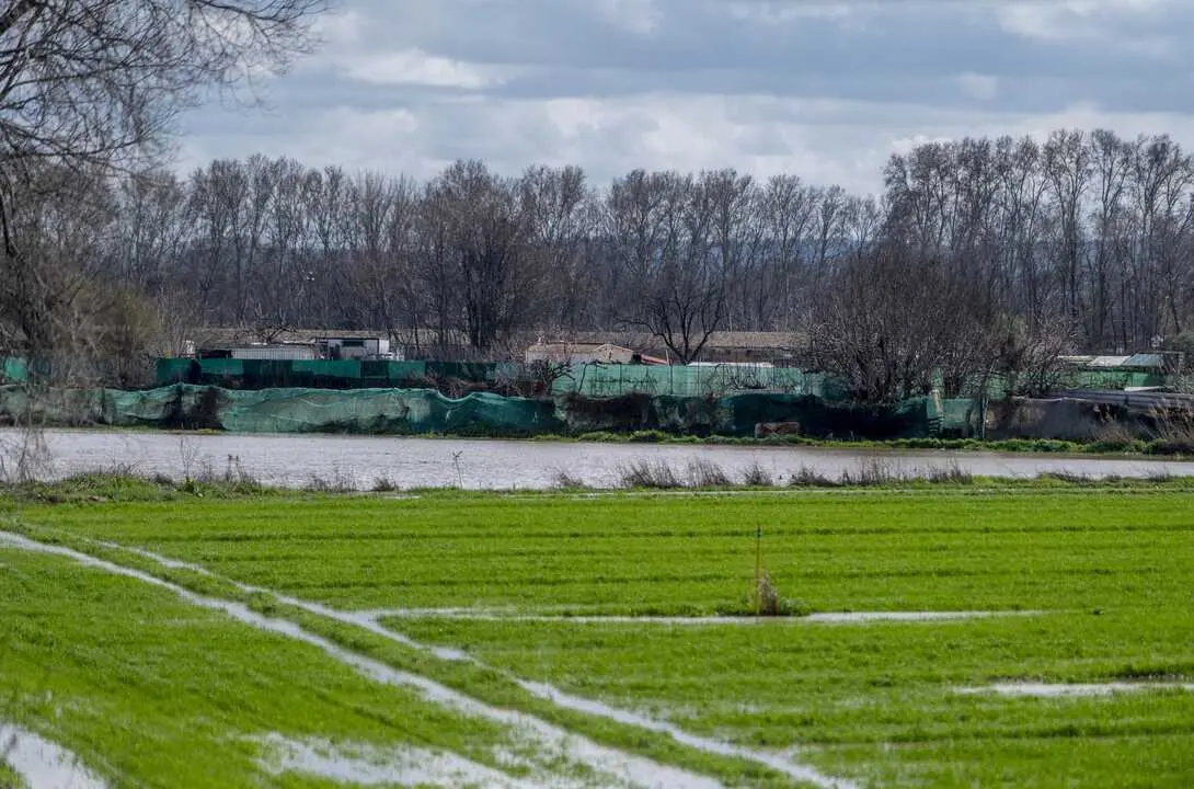 V&iacute;as verdes y caminos junto al r&iacute;o Jarama, en San Fernando de Henares (Madrid). Imagen de EP.