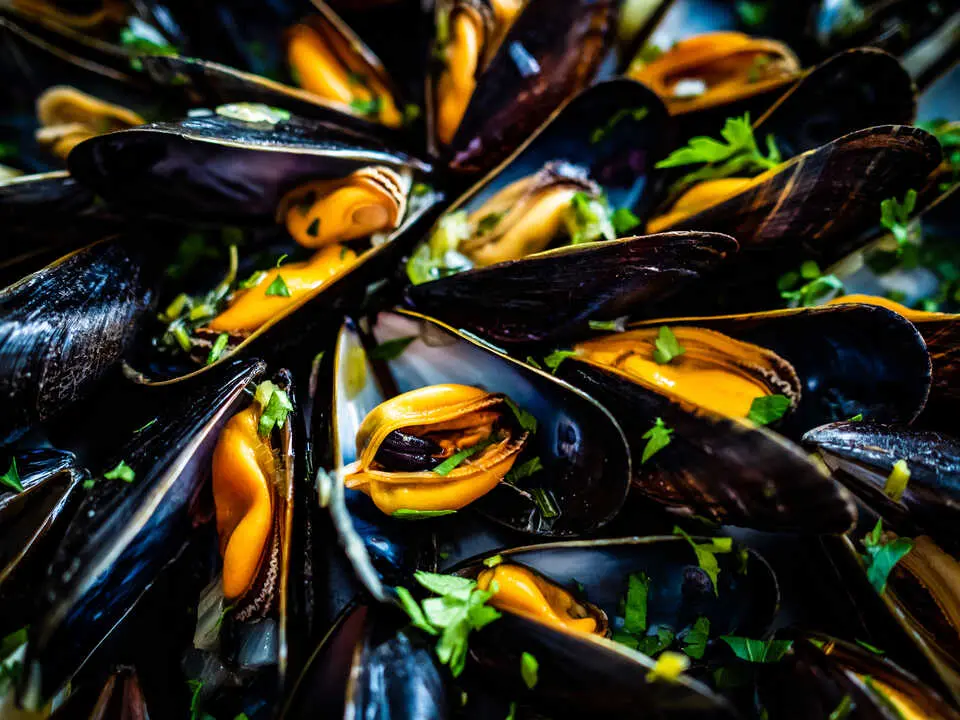 Mejillones en imagen de archivo.