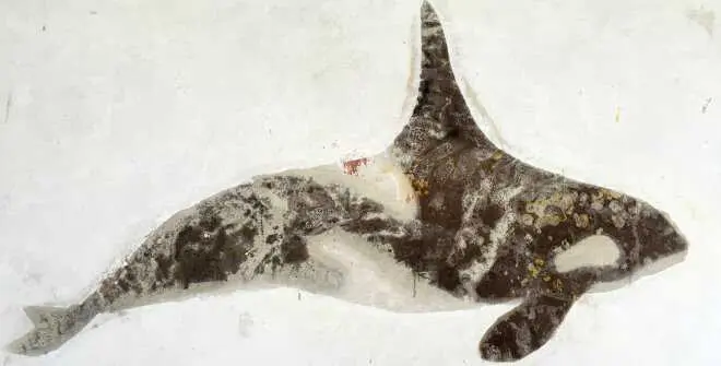 Una de las obras de Moby Ddick. The dream of captain ahab. Imagen del Ayuntamiento de Madrid.