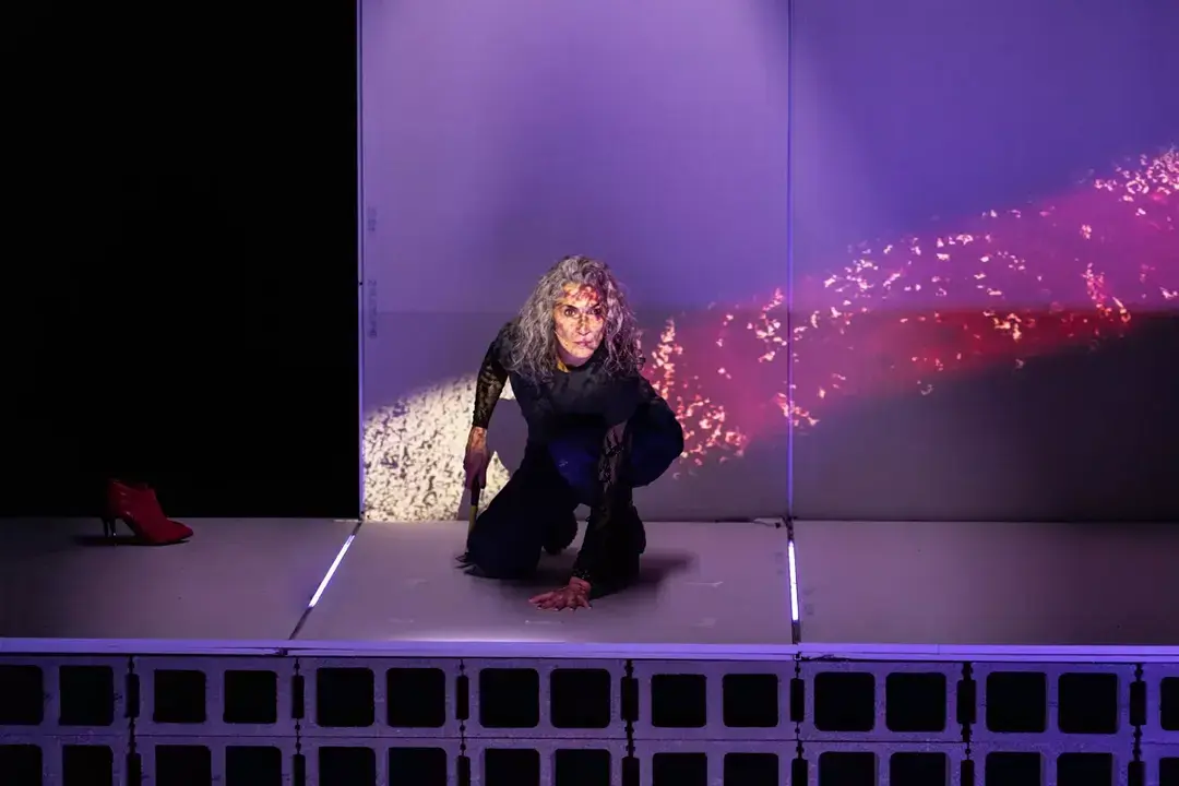 'Teor&iacute;a King Kong', en el Teatro de la Abad&iacute;a. Imagen de @marta_caravaca.