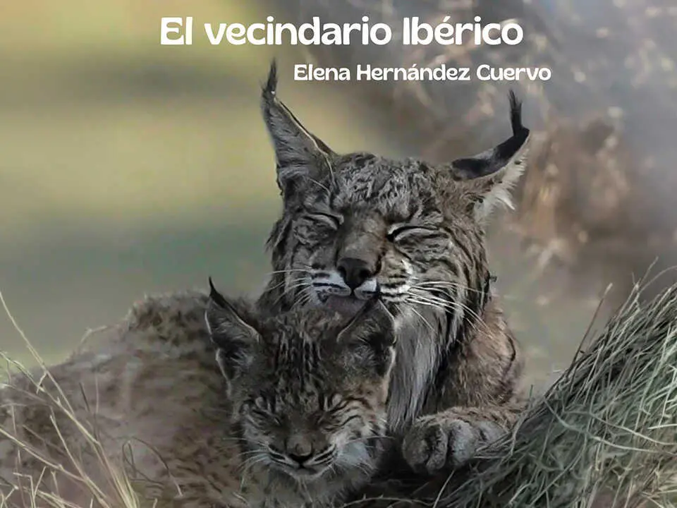 Exposici&oacute;n &ldquo;El vecindario ib&eacute;rico&rdquo;, de Elena Hern&aacute;ndez Cuervo.