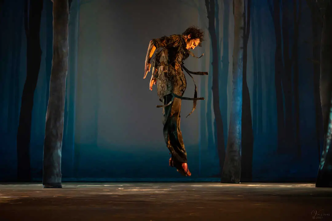 Escena de &lsquo;Baile de bestias&rsquo;. Imagen cedida por la organizaci&oacute;n.